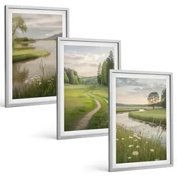 BILDER SET 3er Set - 40x60 cm Silberner Rahmen - Sommerliche Flusswiesen voller Blumen