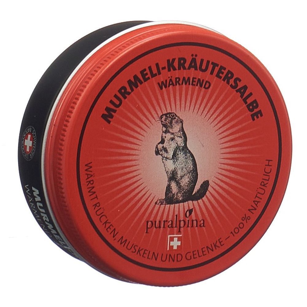 Puralpina Murmeli-Kräutersalbe wärmend 50 ml Salbe