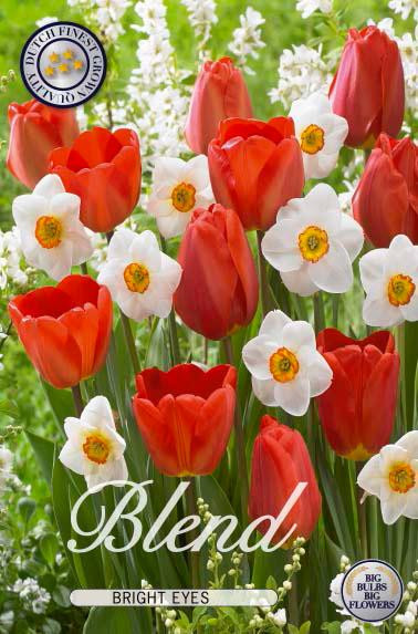 Sam van Schooten Narcissen en Tulpen Bright Eyes bloemzaadmengsel (15 stuks)