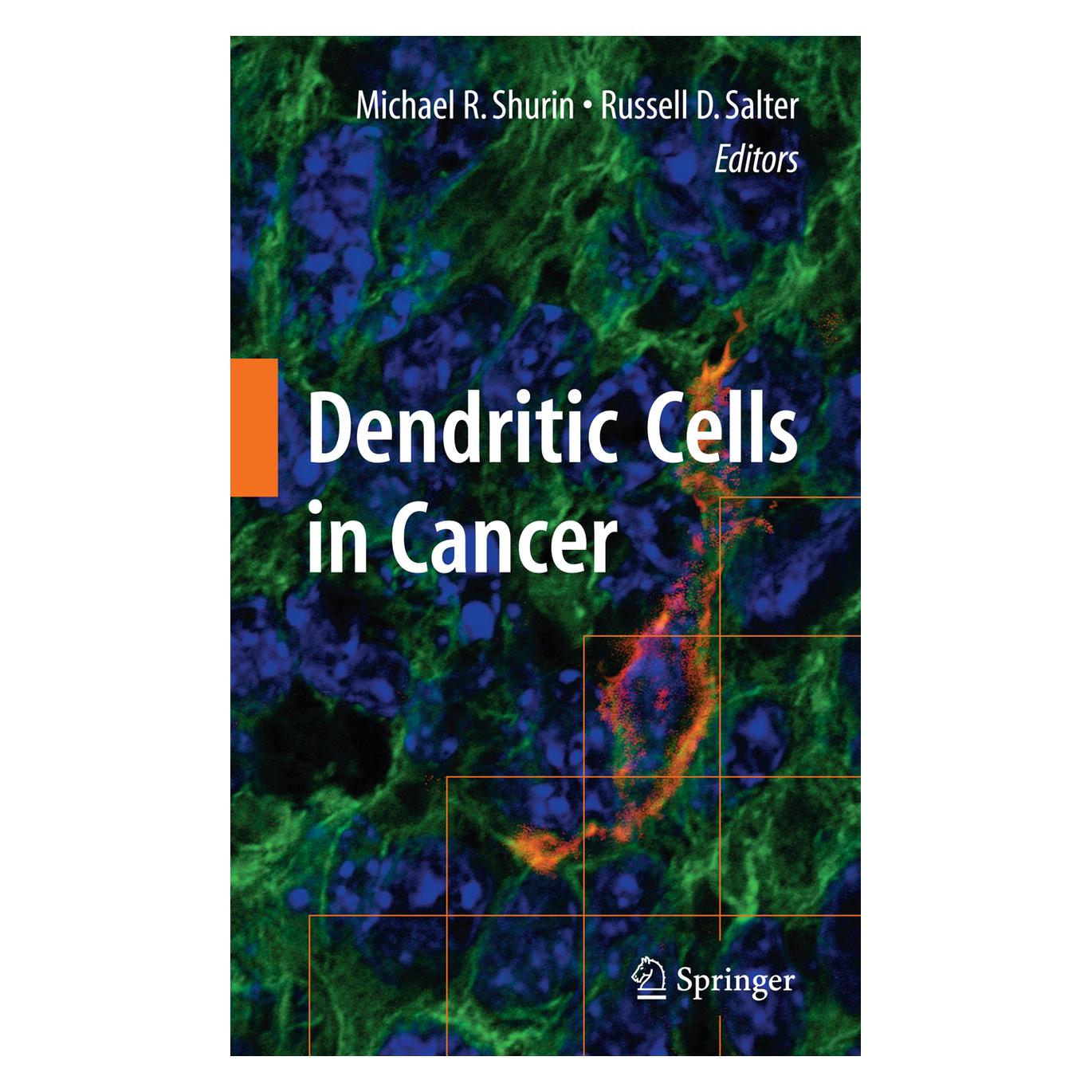 Springer Dendritic Cells in Cancer (Englisch, Softcover, Michael R Shurin, Russell D. Salter) (55399038)