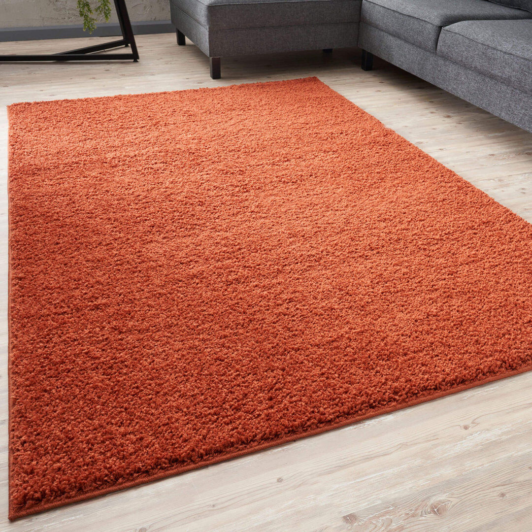 THE RUGS Myshaggy Collection Rugs Solid Design in Terra Terra Rectangle 160 x 230 cm