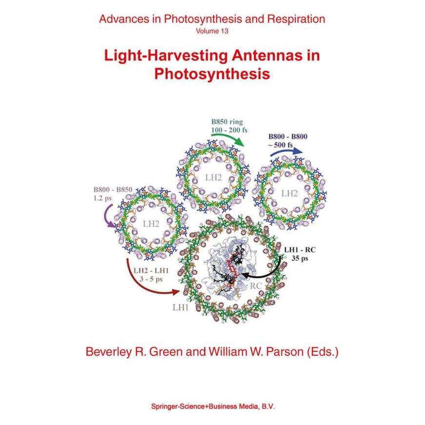 Springer Light-Harvesting Antennas in Photosynthesis (Englisch, Softcover, Beverley R. Green, W. W. Parson) (55374634)