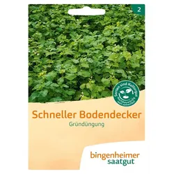 Schneller Bodendecker - Mischung Gründüngung