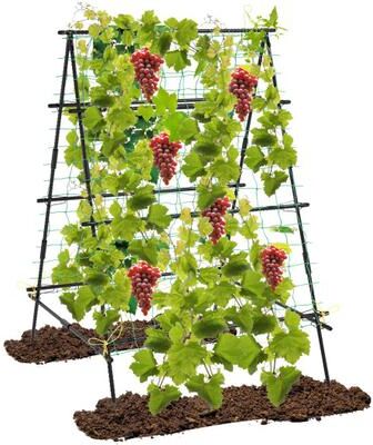 Costway A-Frame Garden Cucumber Trellis with Netting for Climbing Plants Outdoor-Black