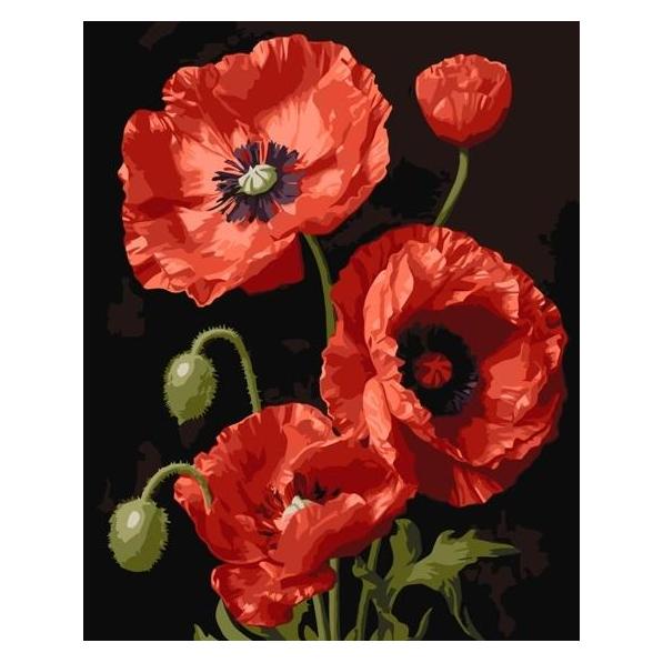 Maksik Malen nach Zahlen - Rote Mohnblumen 40x50cm (58139252)
