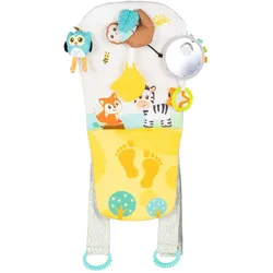 Chipolino, Kindersitz Zubehör, Organizer für Auto Musik