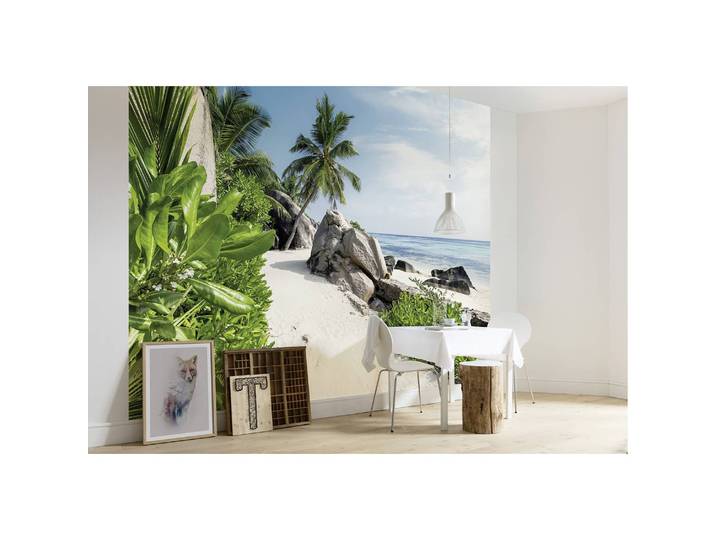 Papier peint intissé Jour de rêve 450 x 280cm