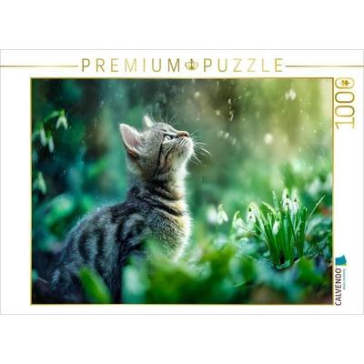 CALVENDO Puzzle Ein Motiv aus dem Kalender Schnurren & Streifen - Zwölf Monate mit Tigerkatzen | 1000 Teile Lege-Größe 64 × 48 cm Foto-Puzzle für