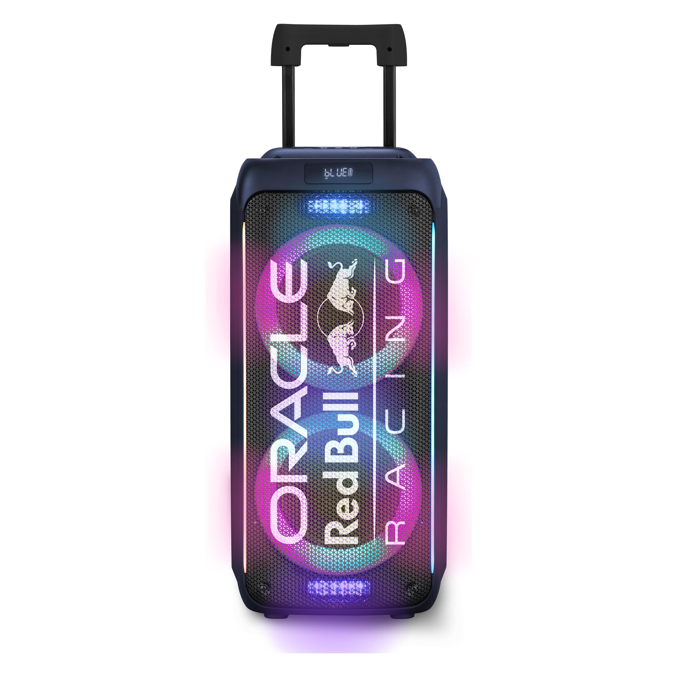 Oracle Red Bull Racing RB-SK220 (2 h) (RB-SK220)