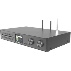 Telestar 5700550 Radio Internet Digital Schwarz, Metallisch