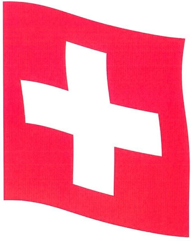 Fahne "Haushaltsware Hissfahne", rot (bunt), B:150cm L:150cm, Polyester, Fahnen, Fahne bunt Einheitsgröße
