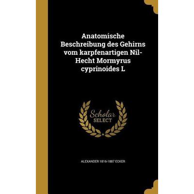 Anatomische Beschreibung des Gehirns vom karpfenartigen Nil-Hecht Mormyrus cyprinoides L, Gebundene Ausgabe von Alexander Ecker, Creative Media
