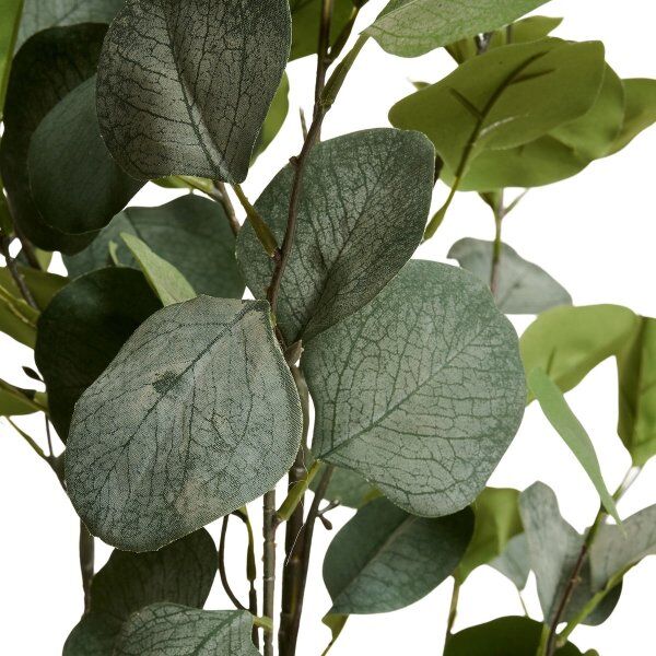 4EverGreen Eukalyptus Træ, 120 Cm