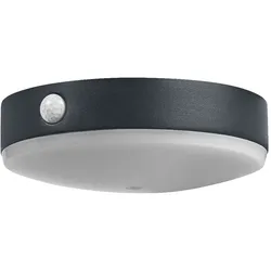 Ledvance LED-Wandleuchte ENDUR #4058075766303