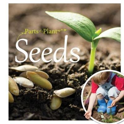 Seeds, Taschenbuch von Gemma Mcmullen, BookLife Publishing, 978-1-80155-555-5