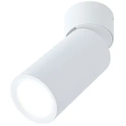 Paulmann LED Deckenleuchte TURNAL COIN, 6W, 2700K, 470 lm, dimmbar, weiß matt PAUL-93087