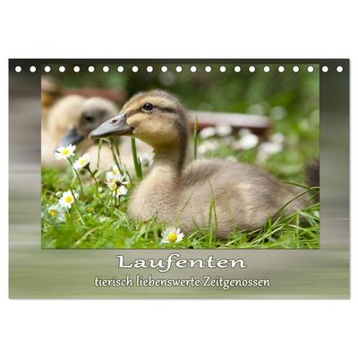 Laufenten - tierisch liebenswerte Zeitgenossen (Tischkalender 2027 DIN A5 quer), CALVENDO Monatskalender