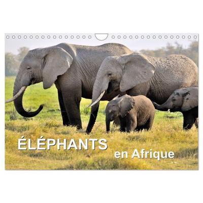 Éléphants en Afrique (Calendrier mural 2027 DIN A4 vertical), CALVENDO calendrier mensuel