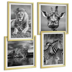 BILDER SET 4er Set - 50x50 cm & 40x60 cm Goldrahmen - Wildtiere Löwe Jaguar Giraffe Zebras
