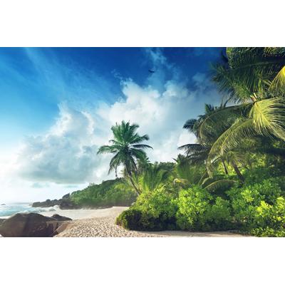 Fototapete PAPERMOON "PALMEN-STRAND-SEYCHELLEN TROPISCH INSEL AFRIKA KÜSTE", bunt, B:5m L:2,8m, Vlies, Tapeten