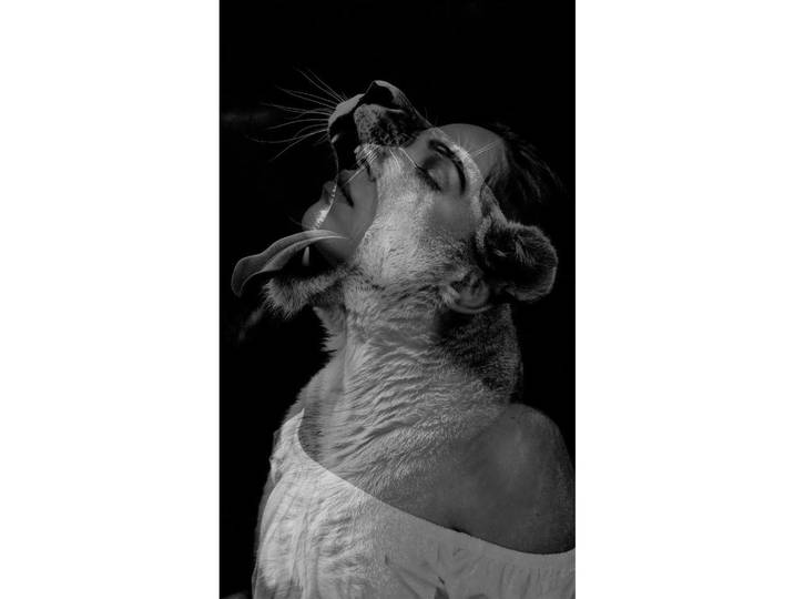 Wandkraft Aluminiumbild, Schwarz, Metall, rechteckig, 70x118 cm, Fotografie, einfache und schnelle Anbringung, matt, Bilder & Rahmen, Bilder, Wandbilder