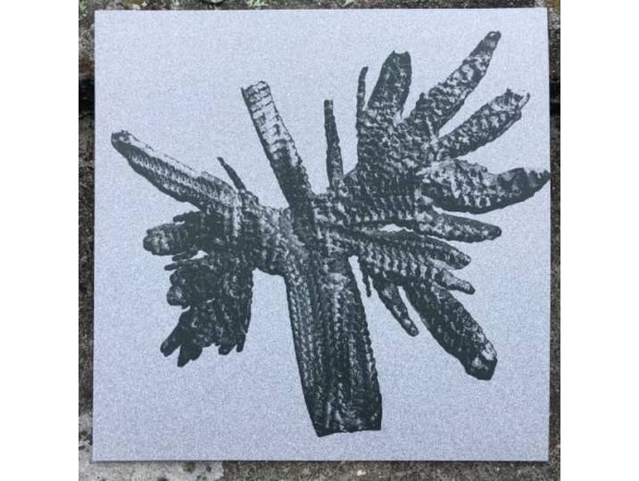 Crystal Geometry - Thorned Ep