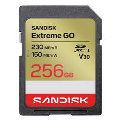 SanDisk Extreme GO microSDXC-Karte 256 GB UHS-I U3 Temperaturbeständig SDSDXGN-256G-GNCIN