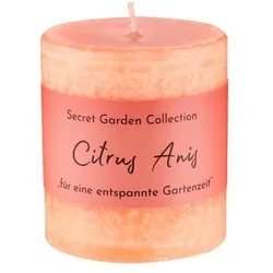 Citrus Anis Anti-Mücke 250g