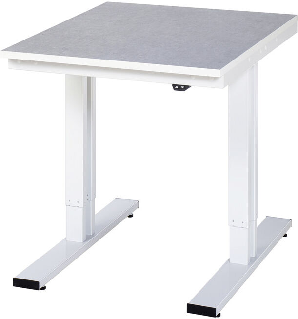 Établi adlatus RAU 300 réglable en hauteur électriquement Plateau linoléum/universel 750 mm x 1000 mm (08-WT-075-100-L)
