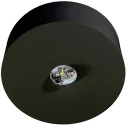 RP-Technik LED-Sicherheitsleuchte ILDL423SC-SW