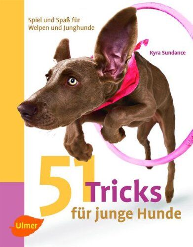 Kyra Sundance - 51 Tricks für junge Hunde: Spiel und Spaß für Welpen und Junghunde - Preis vom 18.10.2026 19:22:15 h