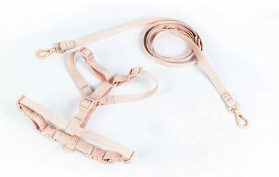 Uplift Treasures Macaron Dual Head Pet Harness And Leash Set pink m