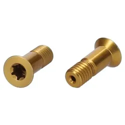 EXTRALITE Schrauben Set ExtraBolt 12.2 für Schaltröllchen | gold 2 x