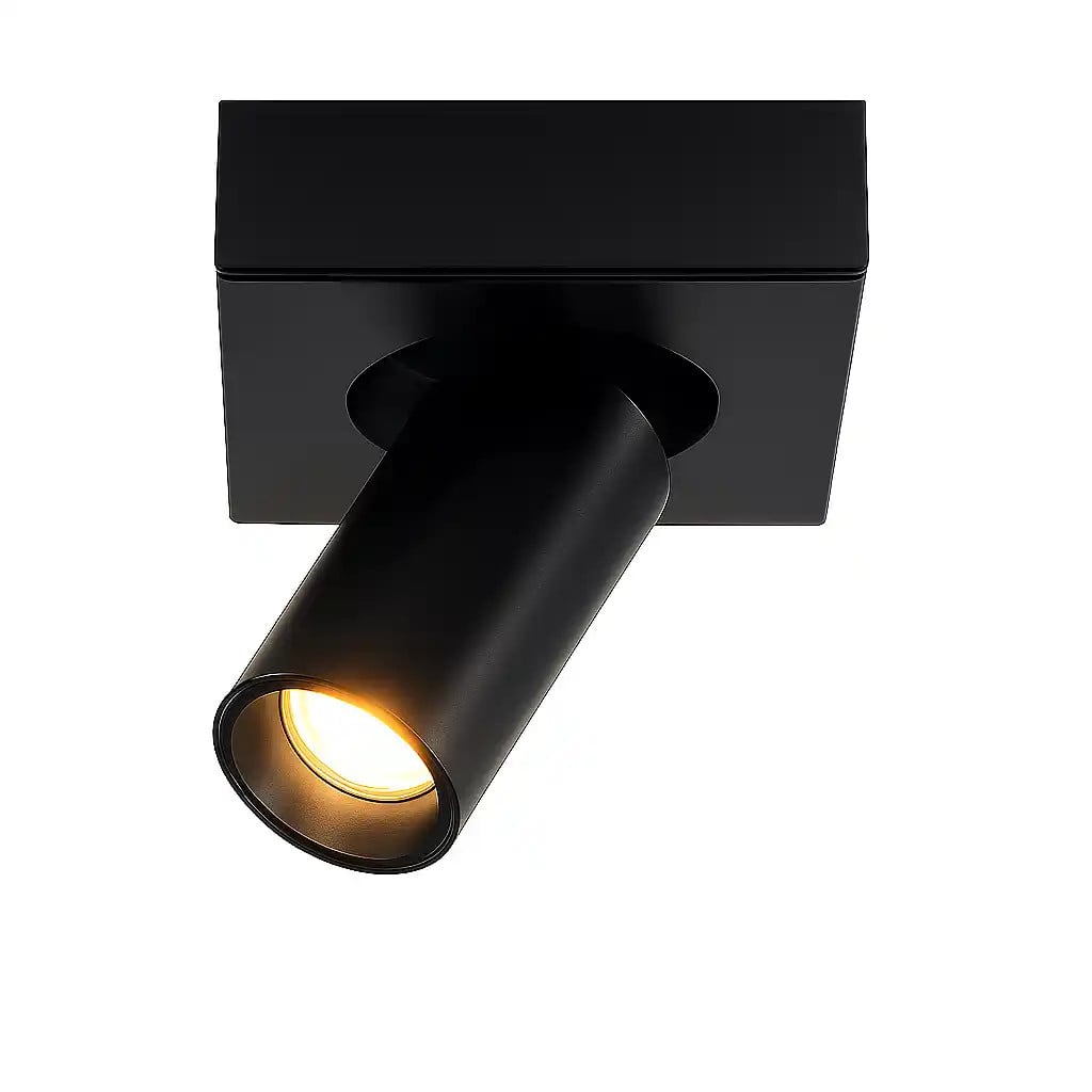 Highlight Spot Eliano 1-lichts zwart