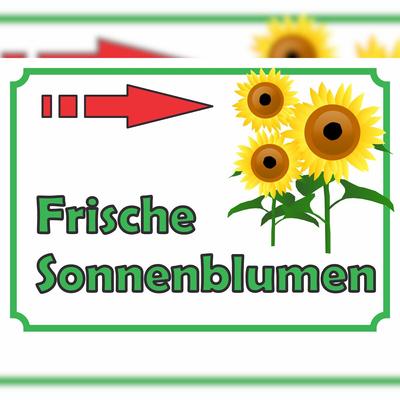 HB-Druck Sonnenblumen Verkaufsschild mit Pfeil rechts Hofladen Verkaufsförderung A3 (297x420mm)