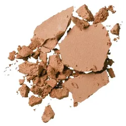 11g SENSAI CELLULAR PERFORMANCE Total Finish Foundation