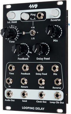 4ms Looping Delay