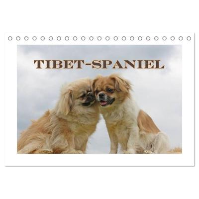 Tibet-Spaniel (Tischkalender 2026 DIN A5 quer), CALVENDO Monatskalender