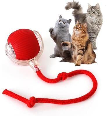 Happy Pet Pantry Smart Chase Tail Ball Interactive Cat & Dog Toy red Pet Ball Toy