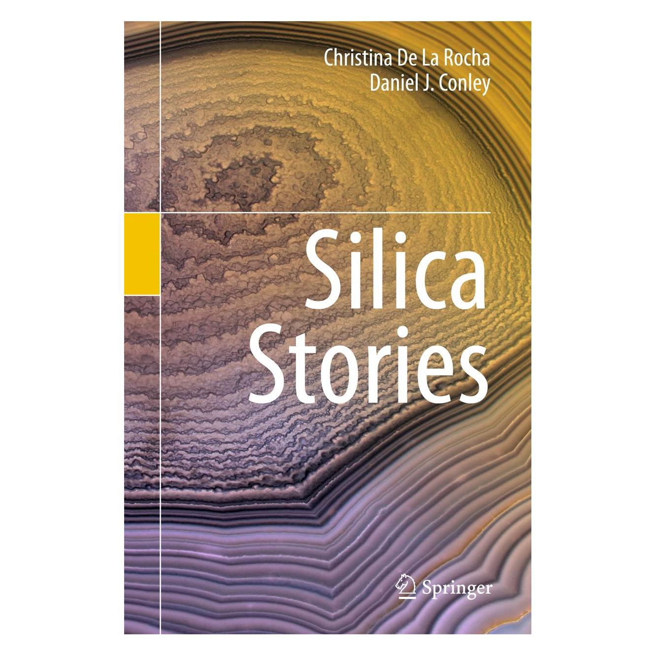 Springer De La Rocha:Silica Stories (Englisch, Hardcover, Christina De La Rocha, Daniel J. Conley) (9783319540535)