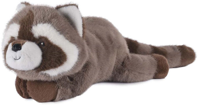 Dans la Forêt tropicale : Peluche Raton Laveur marron lestée 55 cm - Histoire d'Ours