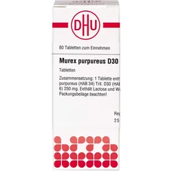 Murex Purpureus D30 80 ST