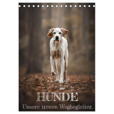 Hunde - Unsere treuen Wegbegleiter. (Tischkalender 2026 DIN A5 hoch), CALVENDO Monatskalender