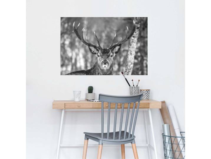Poster Hirsch im Winter Papier Weiß 61 x 92 x 0cm