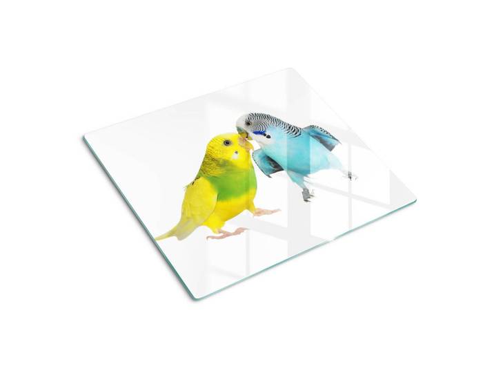 Tulup Glasplatte 60x52 cm Wellensittiche, Grau, Glas, 60x0.4x52 cm, Küchen, Küchenelektrogeräte, Herde, Herdabdeckplatten