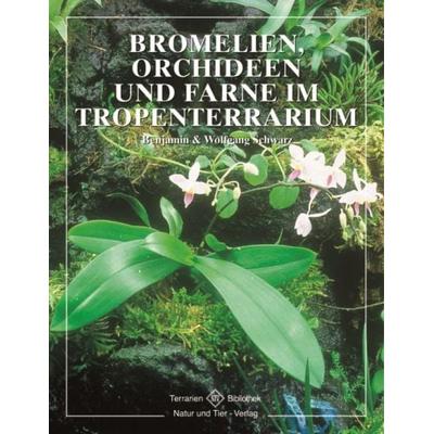 Bromelien, Orchideen und Farne im Tropenterrarium, Taschenbuch von Benjamin Schwarz,Wolfgang Schwarz, Natur Und Tier, 978-3-931587-52-9