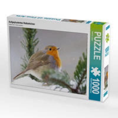 CALVENDO Puzzle Aufgeplustertes Rotkehlchen 1000 Teile Lege-Größe 640 x 480 cm Foto-Puzzle Bild von Sabine Löwer