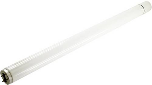 Mo-el 512 UVA 512 UV-Röhre Passend für Marke (Tiervertreiber) Mo-el CriCri 305E, CriCri 307A, CriCri 307E 1St.