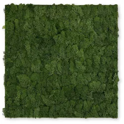 Wandpaneel MODULAR WALL (LB 52x52 cm) - LB 52x52 cm