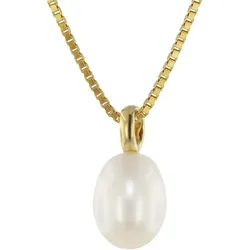 trendor 39058 Perlen-Anhänger Gold 333/8kt mit vergoldeter Silberkette, 40 cm